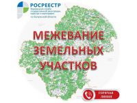 13 апреля «горячая линия» Калужского Росреестра: «Межевание земельных участков»